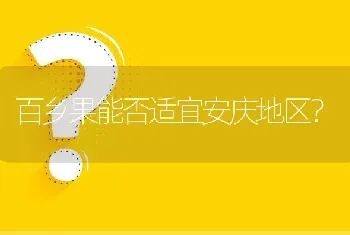 百乡果能否适宜安庆地区?