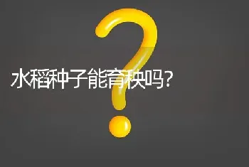 水稻种子能育秧吗?