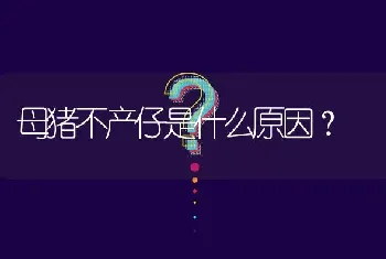 母猪不产仔是什么原因?