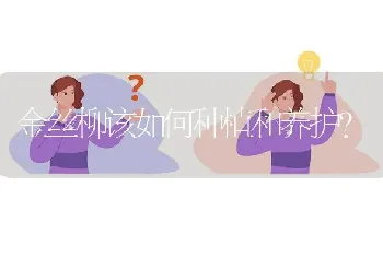 金丝柳该如何种植和养护?