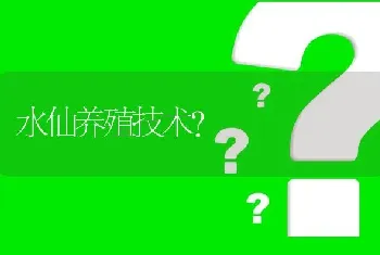 水仙养殖技术?