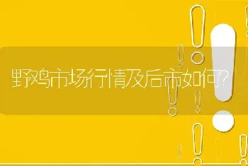 野鸡市场行情及后市如何?