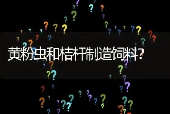 黄粉虫和桔杆制造饲料?