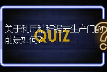 关于利用秸秆锯末生产门的前景如何?