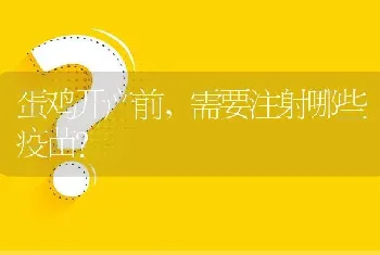 蛋鸡开产前,需要注射哪些疫苗?