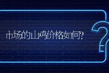 市场的山鸡价格如何?