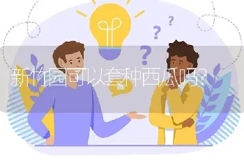 新竹园可以套种西瓜吗?