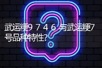 武运粳9746与武运粳7号品种特性?