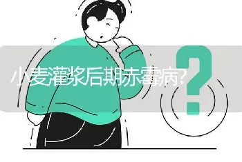 小麦灌浆后期赤霉病?