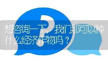 想咨询一下,我们那可以种什么经济作物吗?