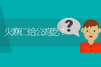 火麻仁给公鸡吃?