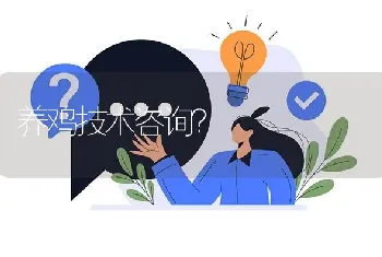 养鸡技术咨询?