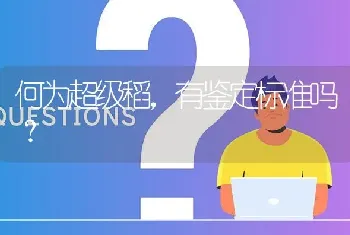 何为超级稻,有鉴定标准吗?