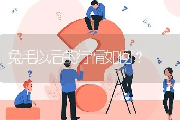 兔毛以后的行情如何?