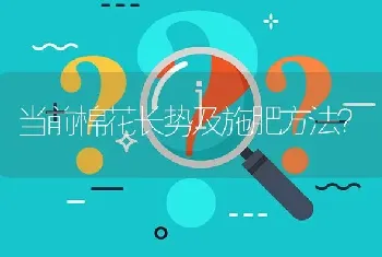 当前棉花长势及施肥方法?