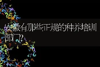 池塘主养鲢鳙鱼方法?