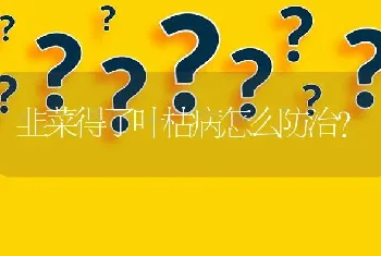 请问砀山市有没有收购长毛兔兔毛的机构?