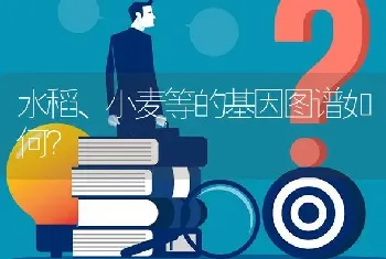 水稻、小麦等的基因图谱如何?