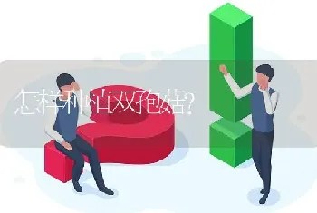 绿壳蛋鸡或鸭子的养殖技术?