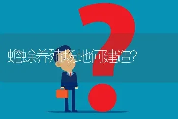 蟾蜍养殖场地何建造?