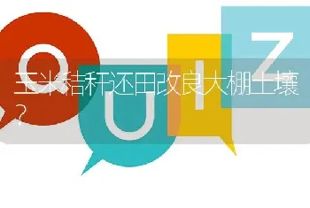 玉米秸秆还田改良大棚土壤?