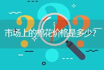 市场上的棉花价格是多少?