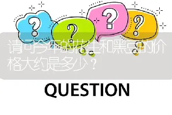 请问今年的花生和黑豆的价格大约是多少?