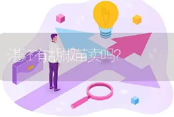 湛江有胡椒苗卖吗?