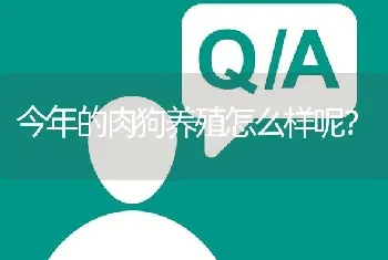 今年的肉狗养殖怎么样呢?