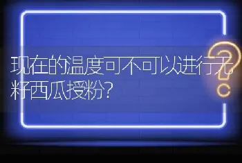 现在的温度可不可以进行无籽西瓜授粉?