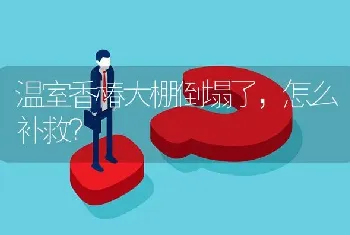 温室香椿大棚倒塌了,怎么补救?