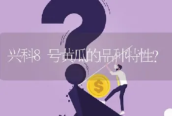 兴科8号黄瓜的品种特性?