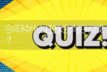 今年种什么庄稼会有好收成?