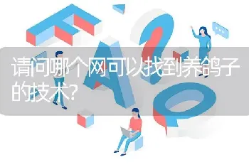 请问哪个网可以找到养鸽子的技术?