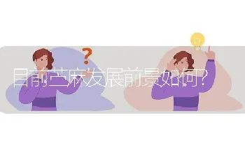 目前苎麻发展前景如何?