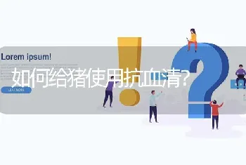 如何给猪使用抗血清?