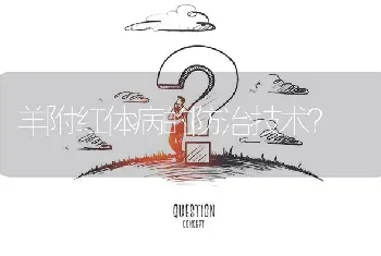 羊附红体病的防治技术?