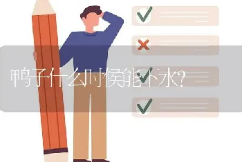 鸭子什么时候能下水?