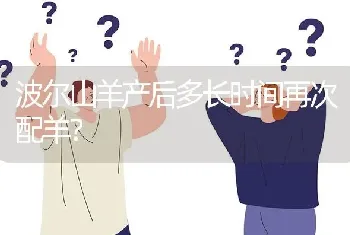 波尔山羊产后多长时间再次配羊?