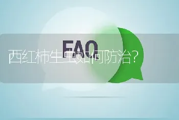 用豆腐渣喂猪最大比例是多少?