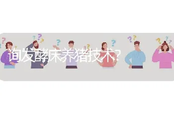 询发酵床养猪技术?