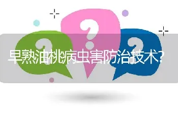 早熟油桃病虫害防治技术?