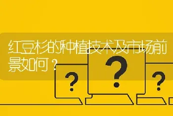 红豆杉的种植技术及市场前景如何?