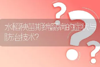 水稻秧苗期绵腐病的症状与防治技术?