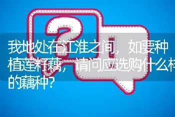 我地处在江淮之间,如要种植莲籽藕,请问应选购什么样的藕种?