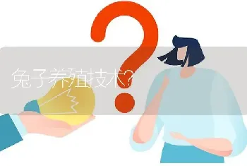 兔子养殖技术?