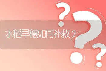 水稻早穗如何补救?