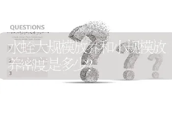 水蛭大规模放养和小规模放养密度是多少?