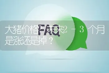 大猪价格?未来2-3个月是涨还是掉?