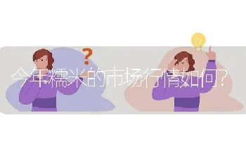 今年糯米的市场行情如何?